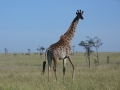 kathy-africa-3-185