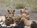 kathy-africa-3-308